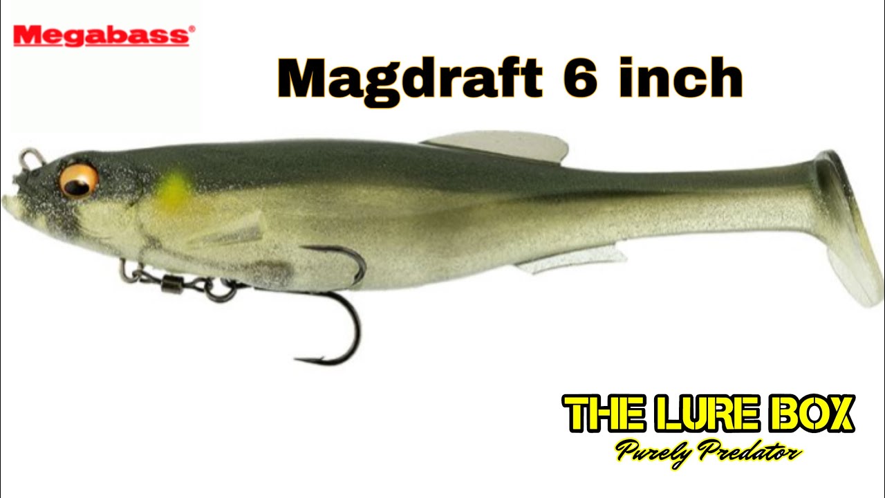 Quick look - Megabass Magdraft 6 #lurefishing #megabasslures #lurefishinguk