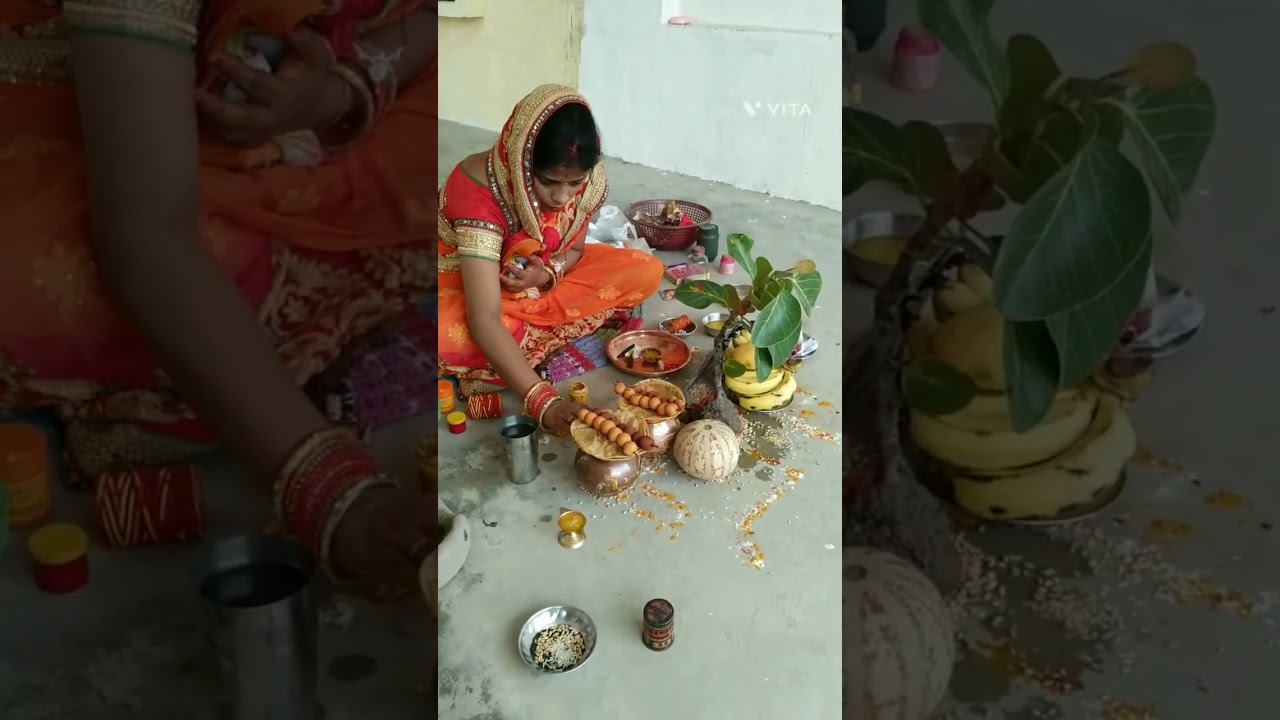 vat savitri Pooja 