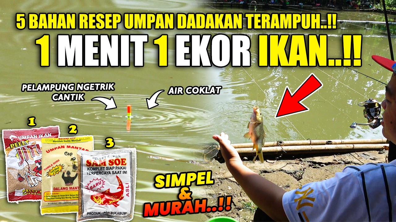 LANGSUNG TERBUKTI RESEP INI !! 1 MENIT IKAN MAKAN TELAK UMPAN !! RACIKAN JITU UMPAN DADAKAN ❗❗