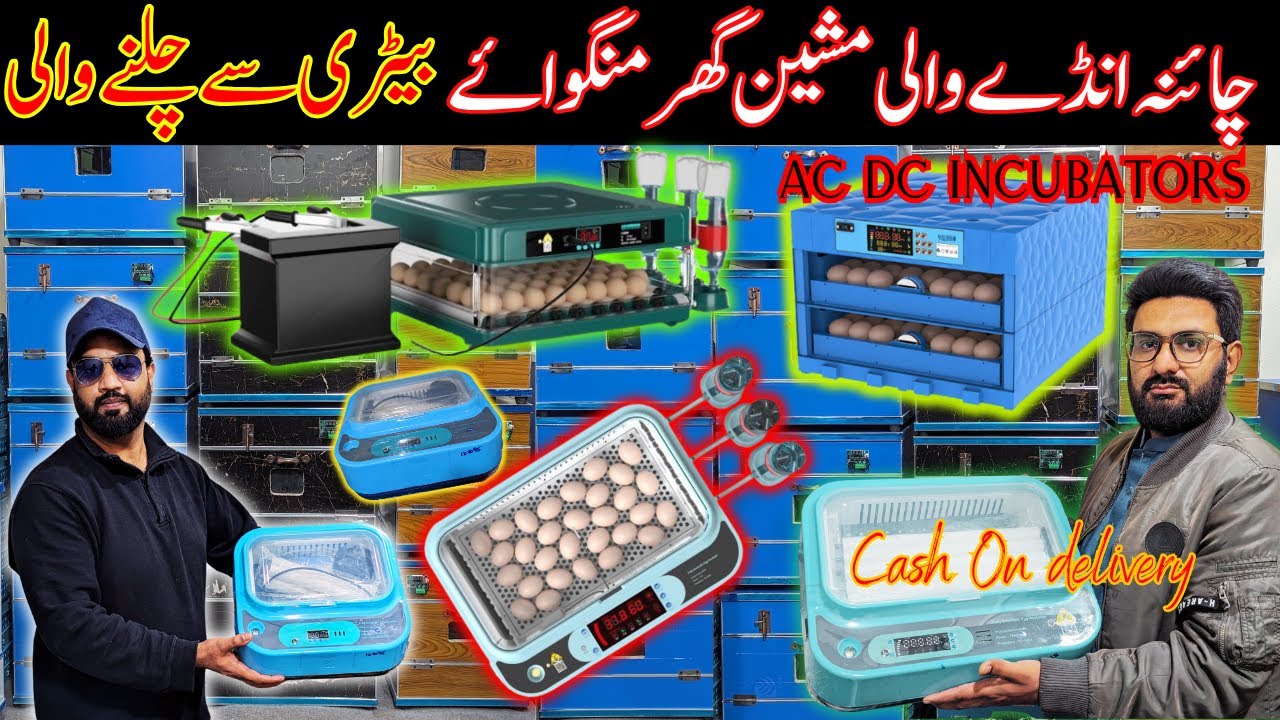 Imported Incubator in Pakistan | Incubator Price in Pakistan 2024 | imported incubator | A.C D.C