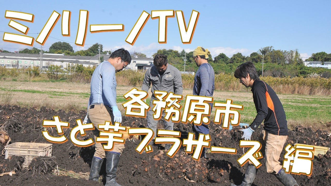 ミノリーノTV　～さと芋ブラザーズ～