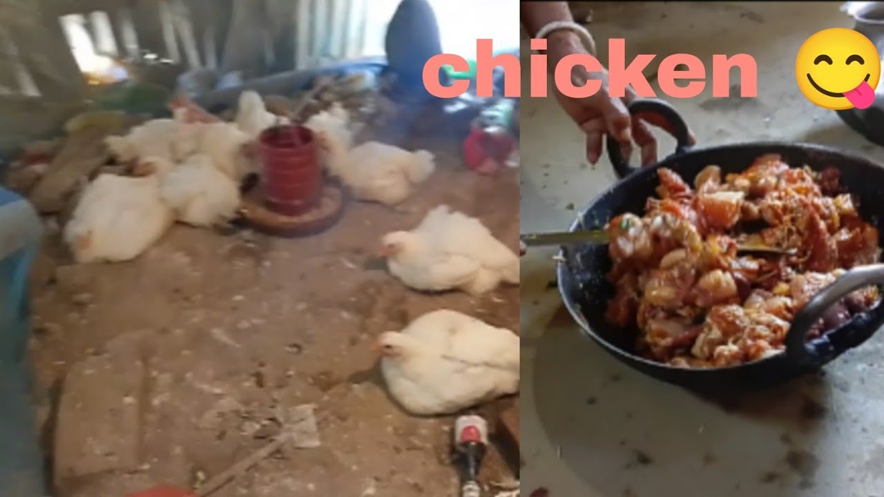 Tini chwng chicken 🐔 swng gwi chakha 😋| tripura lifestyle vlog 