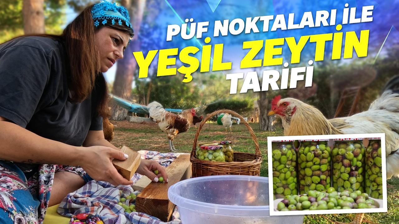 Yeşil Zeytin Nasıl Kurulur? Sırlarımızı Açıklıyoruz! (Çizik ve Kırık Zeytin)
