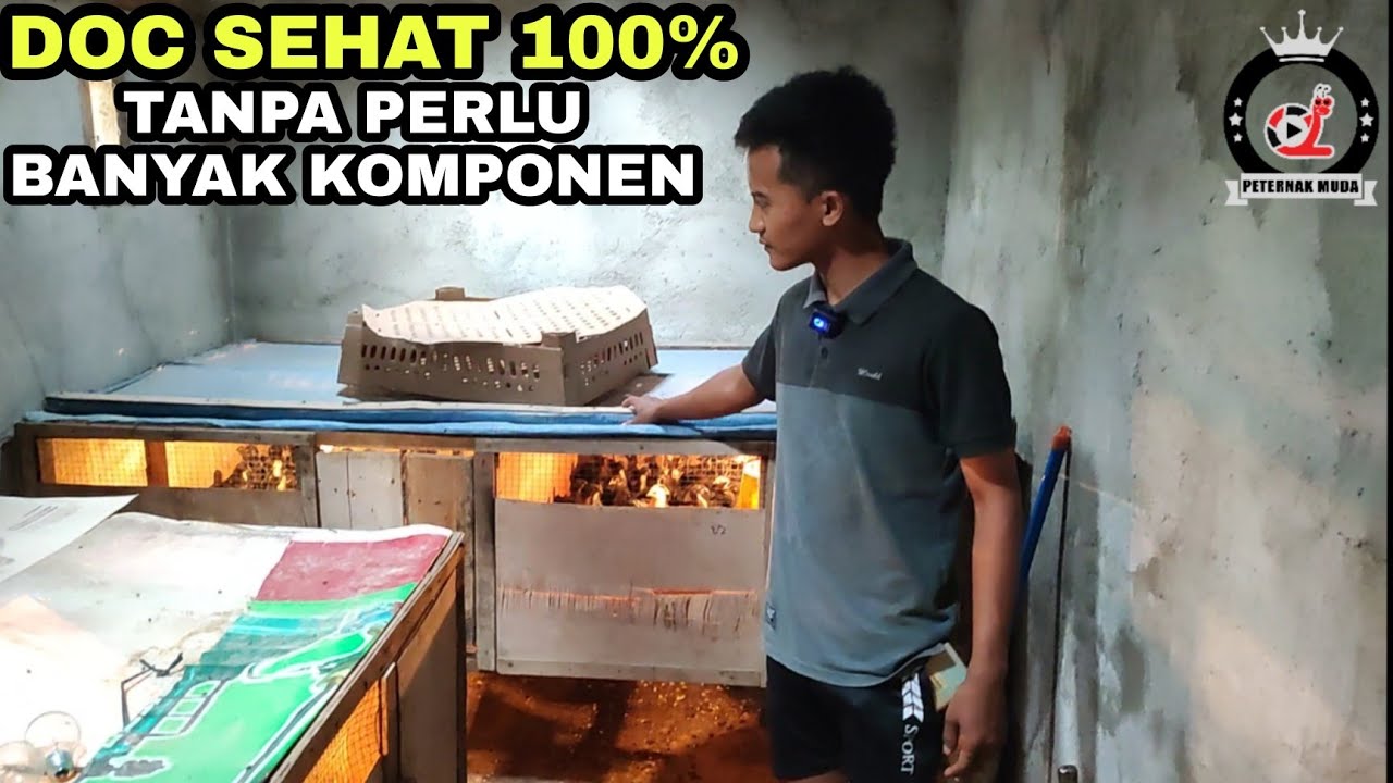 MUDAHNYA MERAWAT DOC/ANAK AYAM