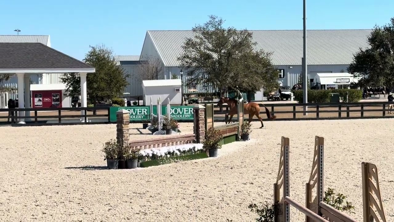 United Dream - Children’s Hunters 