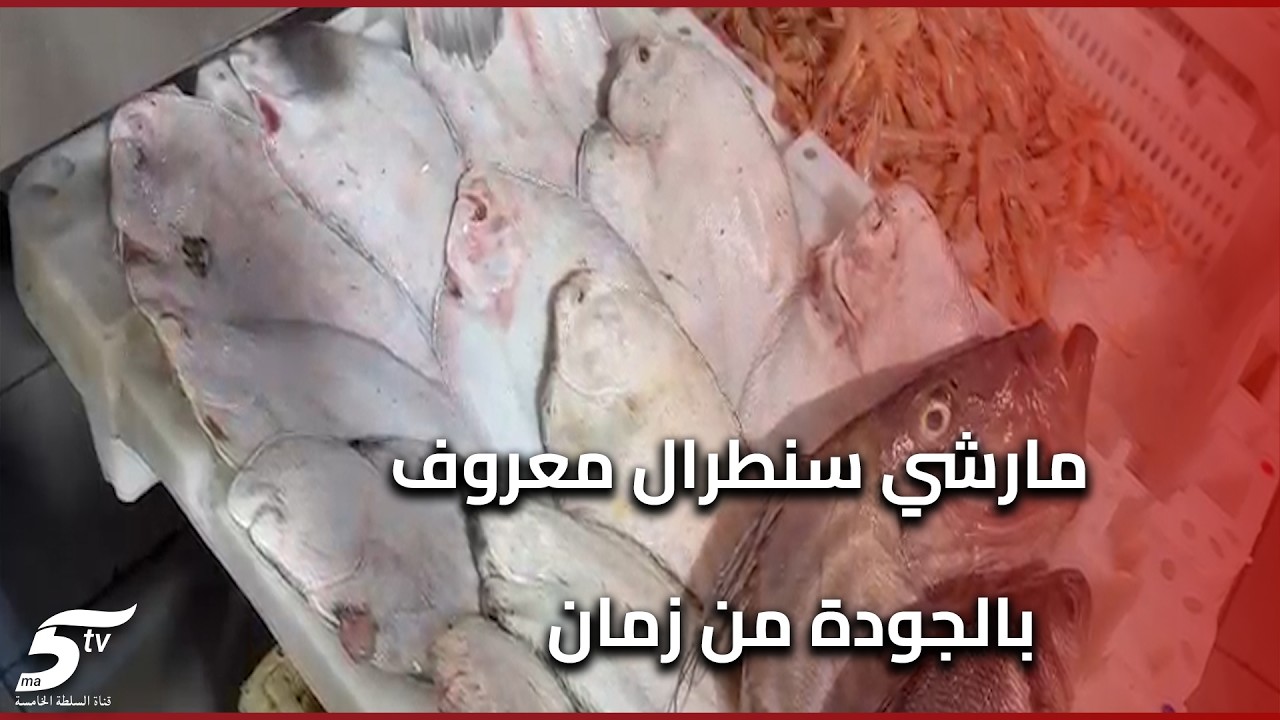 تجار السمك بمارشي سنطرال: أثمنة مستقرة وجودة في المتناول وإقبال متفاوت من المواطنين