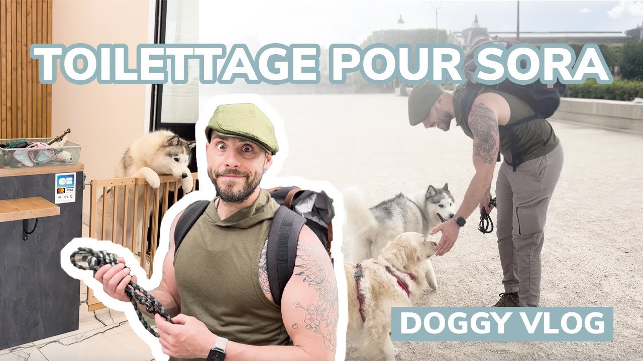 Doggy Vlog | Toilettage pour Sora