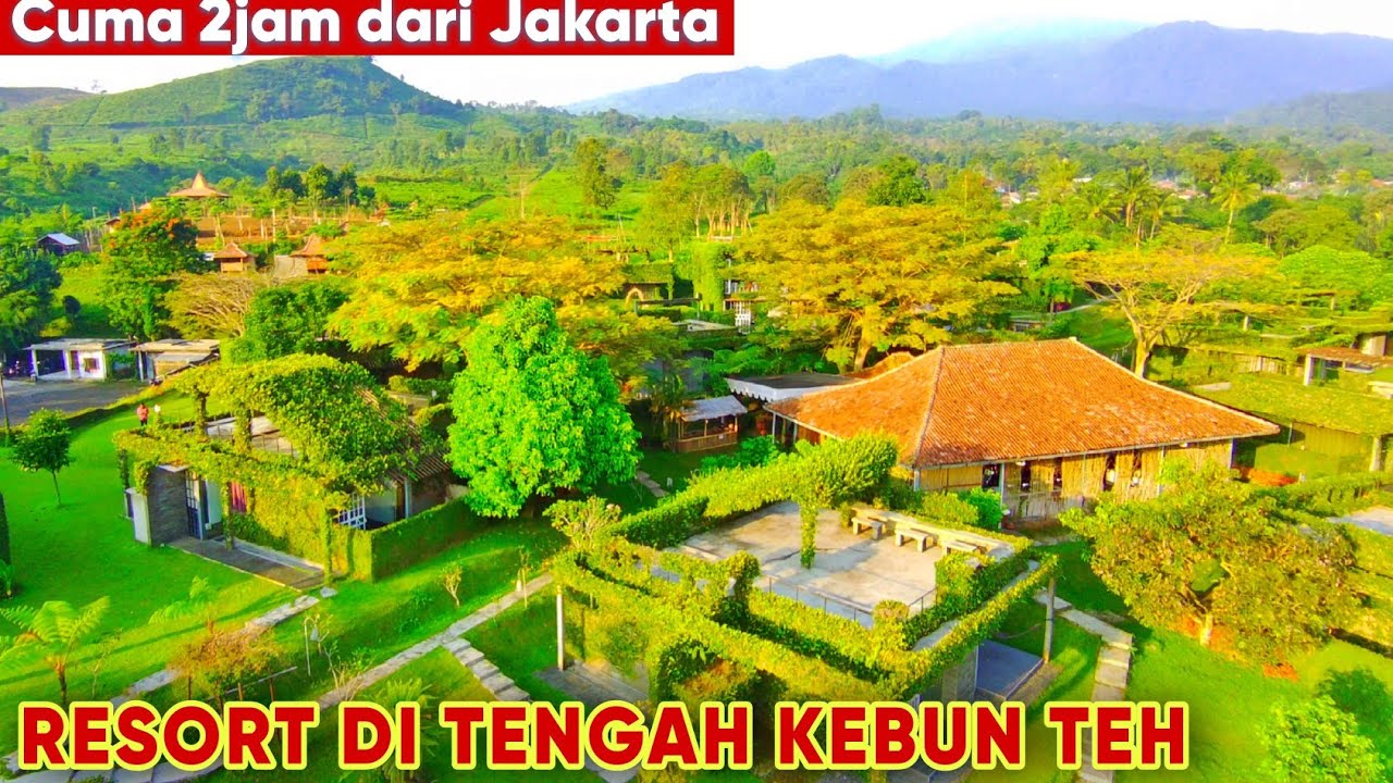 TEA GARDEN RESORT SUBANG‼️ STAYCATION DI TENGAH KEBUN TEH COCOK UNTUK HEALING DAN LIBURAN KELUARGA‼️