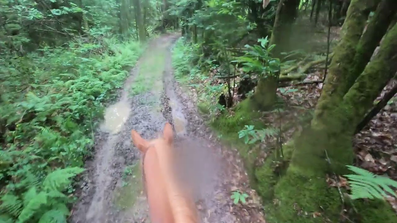 Pffff, soggy track!