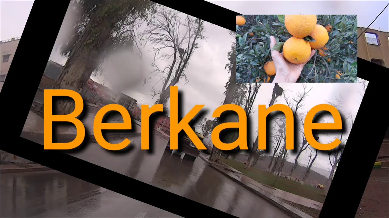 Berkane🍊🍊 أمطار الخير تتهاطل بمدينة بركان