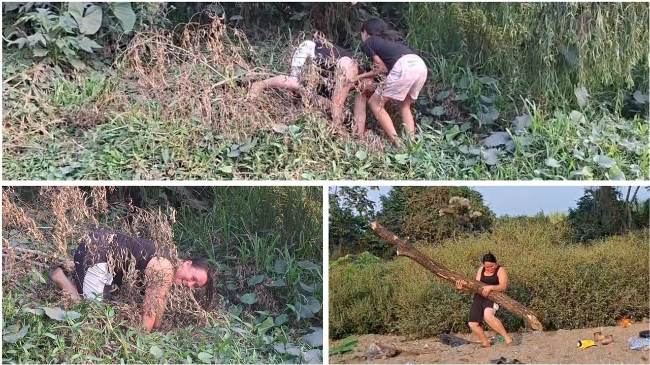 La tia Yulma por buscar leña callo de boca ise muer3 de la risa