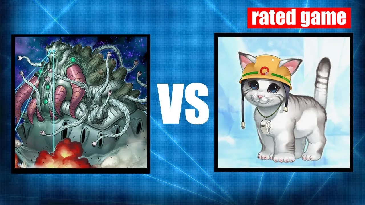 My pet deck! ME (ALIENS) vs CAT.  Yugioh Edison Format replays