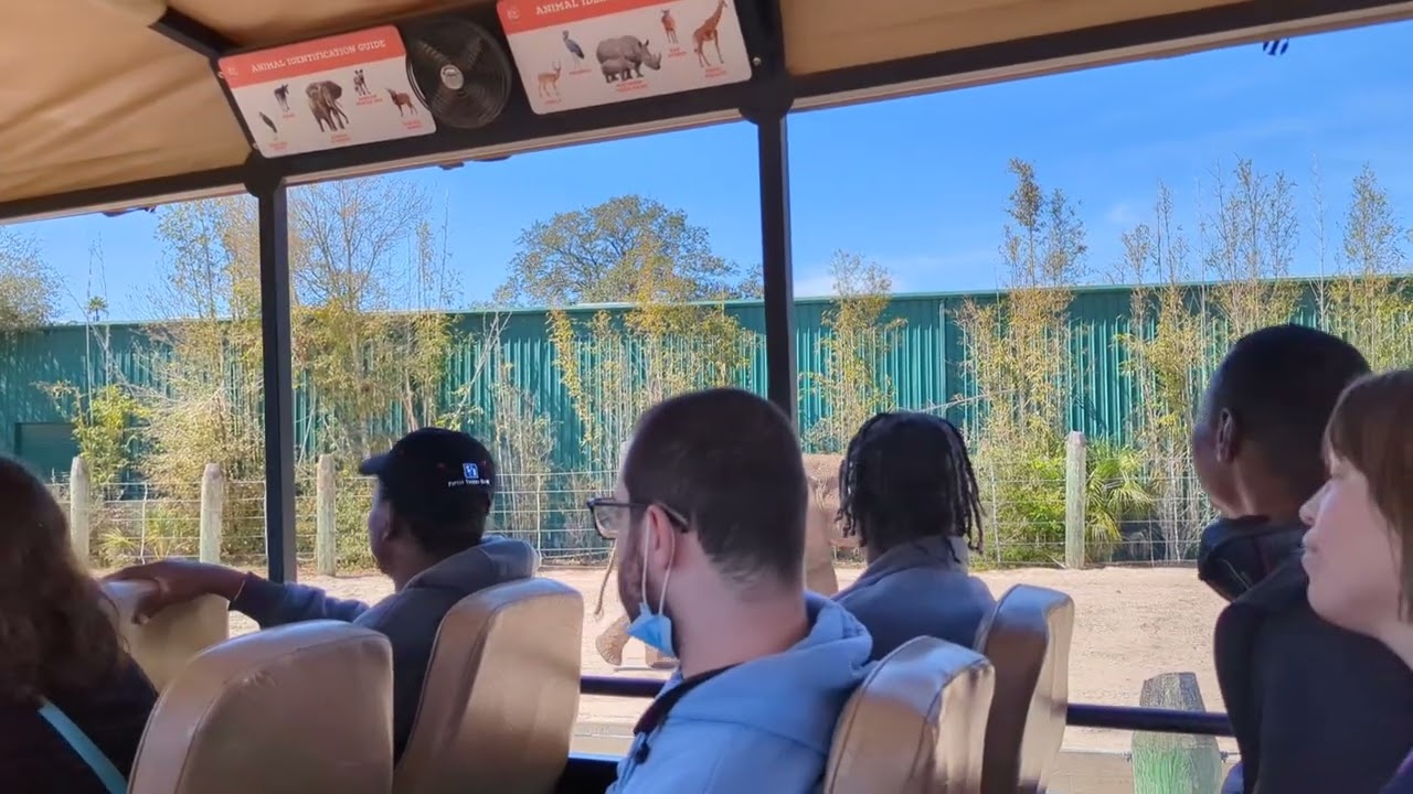 Zootampaz at Lowryz parkz 