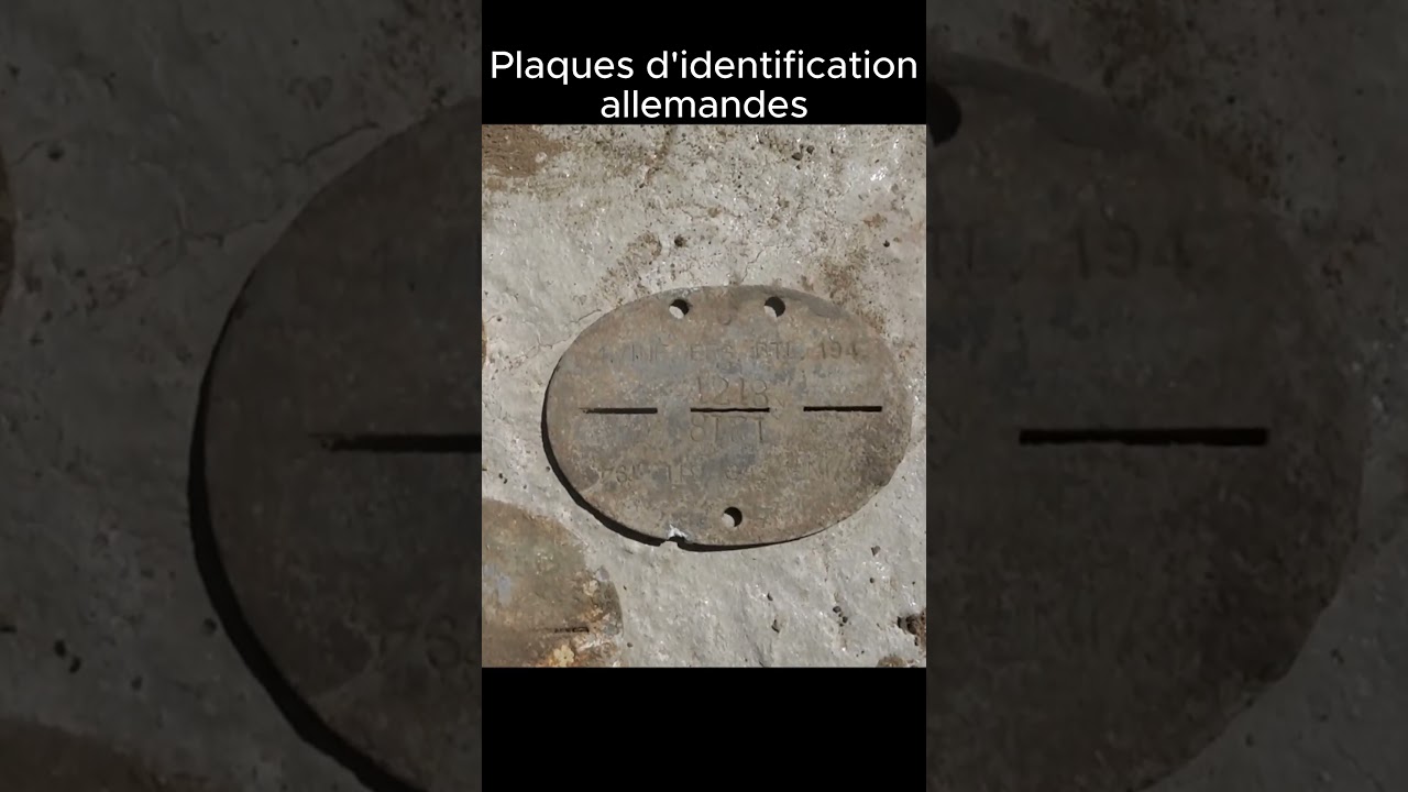 Une centaine d'Allemands retrouv&eacute;s dans un charnier &agrave; Stalingrad