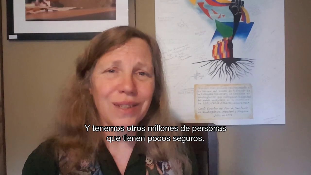 Margaret Flowers addressing the 2020 Green Party virtual presidential nominating convention