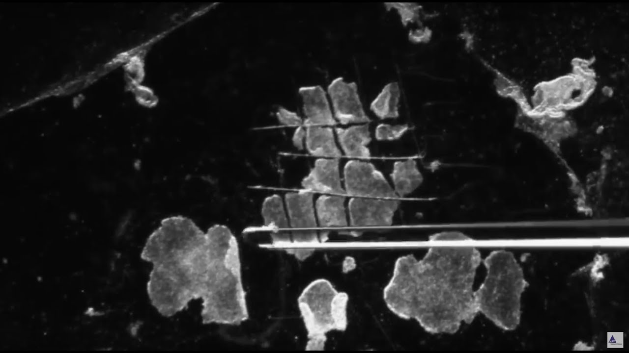 3 Methods for Passaging of Pluripotent Stem Cells
