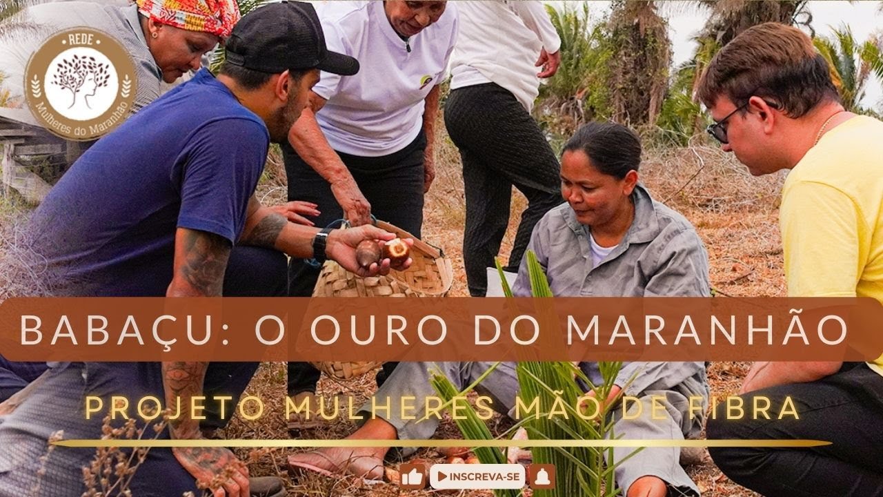 Babaçu: O Ouro do Maranhão. A Trajetória de Superação das Quebradeiras de Coco Babaçu