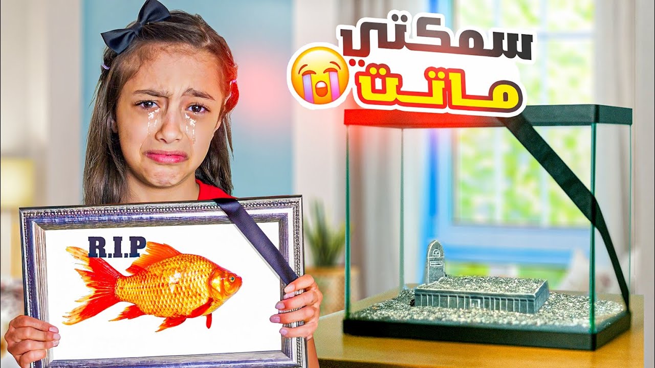 أصعب يوم بحياة تيما 😭 للأسف ماتت سمكتنا