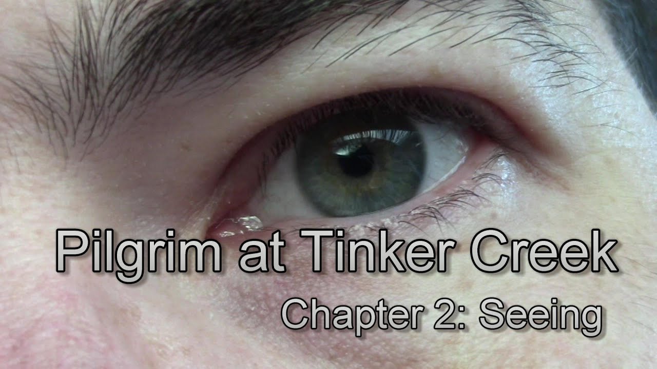 Pilgrim at Tinker Creek, chapter 2 discussion