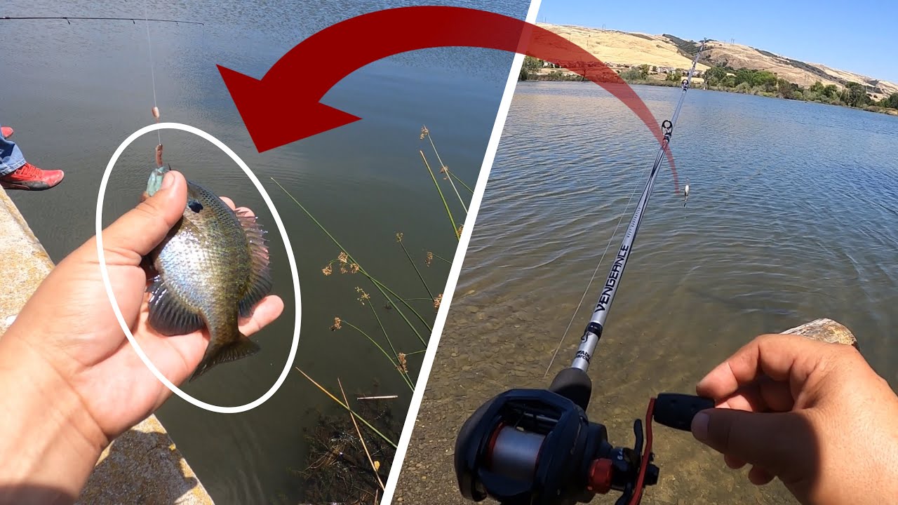 MI PRIMER PESCA , en lago y mar