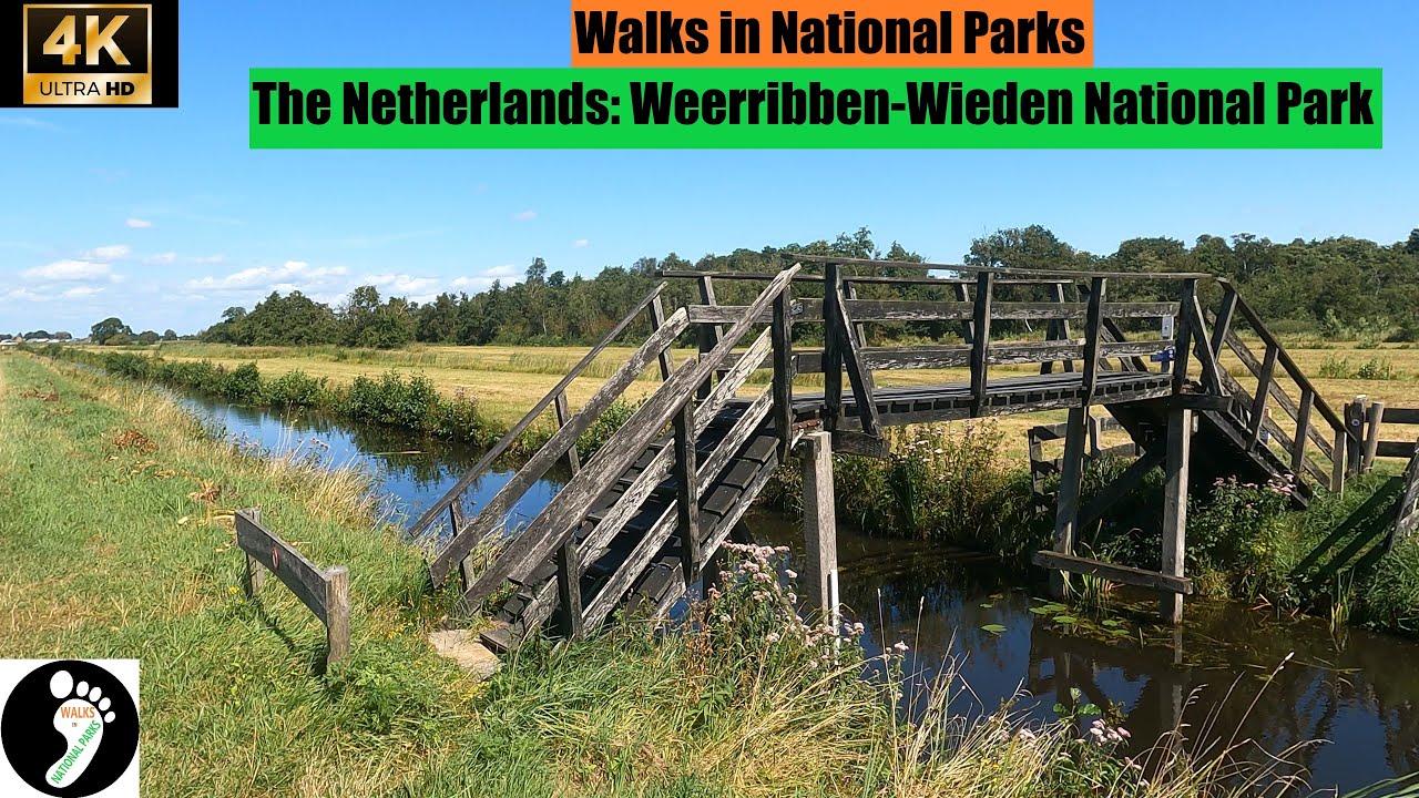 The Netherlands: Walk in the largets raised bog area in NW Europe in Weerribben-Wieden National Park