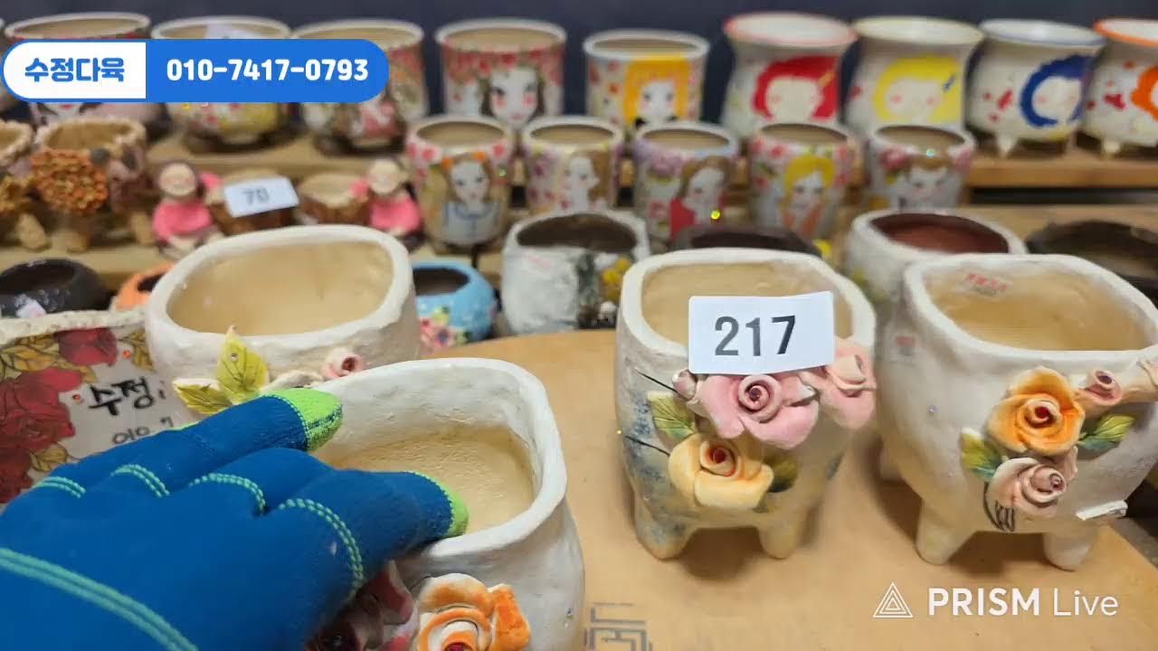여주분 50% 할인 초보님 환영♡ #라이브 방송 2월 7일 #수정다육 010.7417.0793 #다육식물 #화분 #수제화분 #키핑 #에오니옴 #코노피튬 #라울