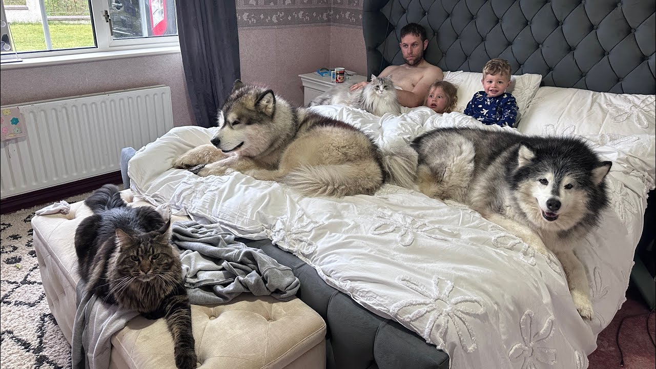 Our Daily Routine In Our New House! What We Get Up To!!