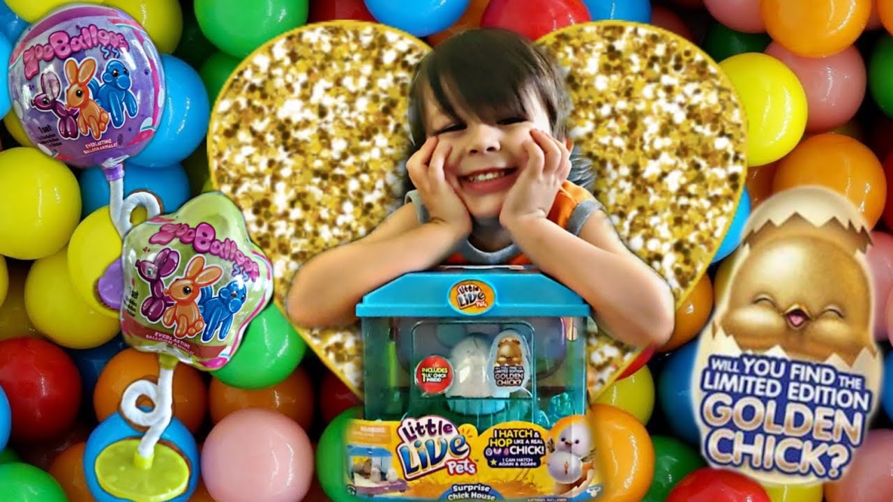 EVAN💜 Zooballoos & Little Live Pet SURPRISE Chick House Limited Edition Gold, EP Brothers Play EPBP