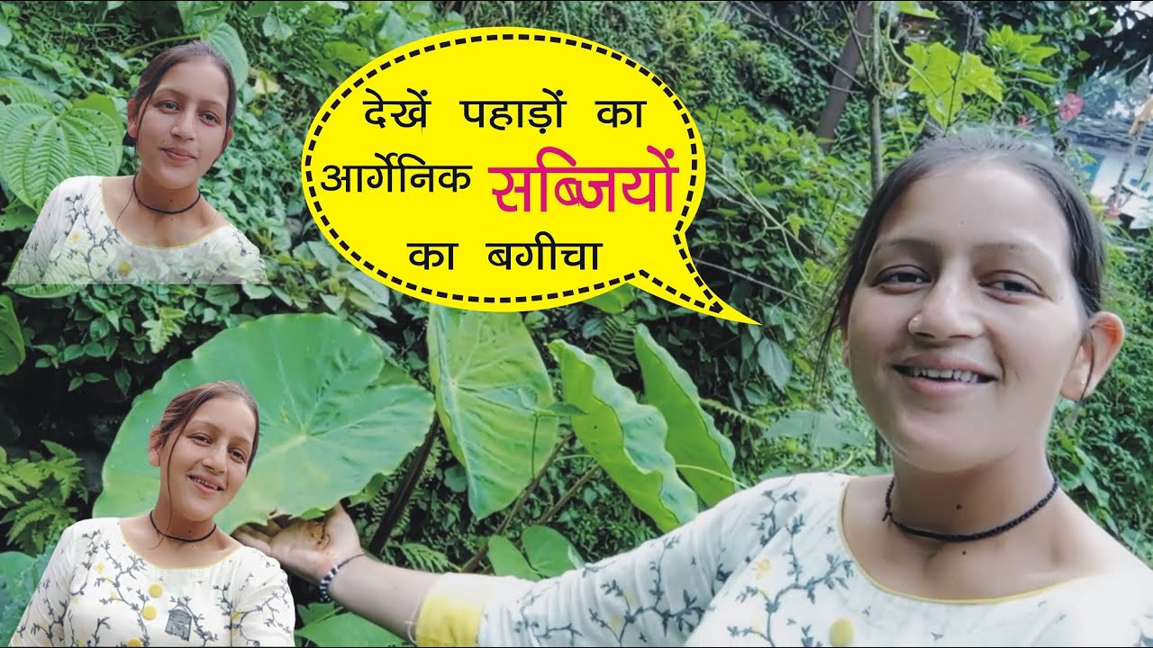 पहाड़ी घर |आर्गेनिक सब्जियों का बगीचा | BLOG-02 | organic pahadi vegetables garden|
