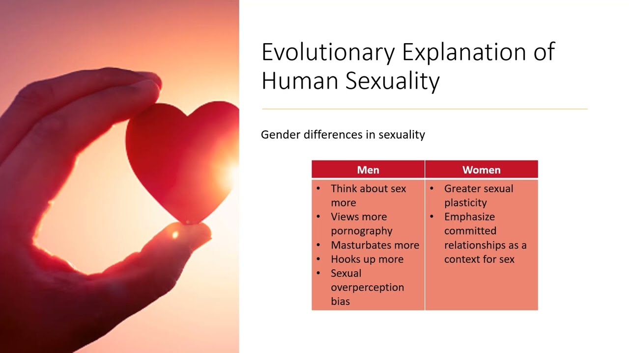 Evolution of Human Sexuality