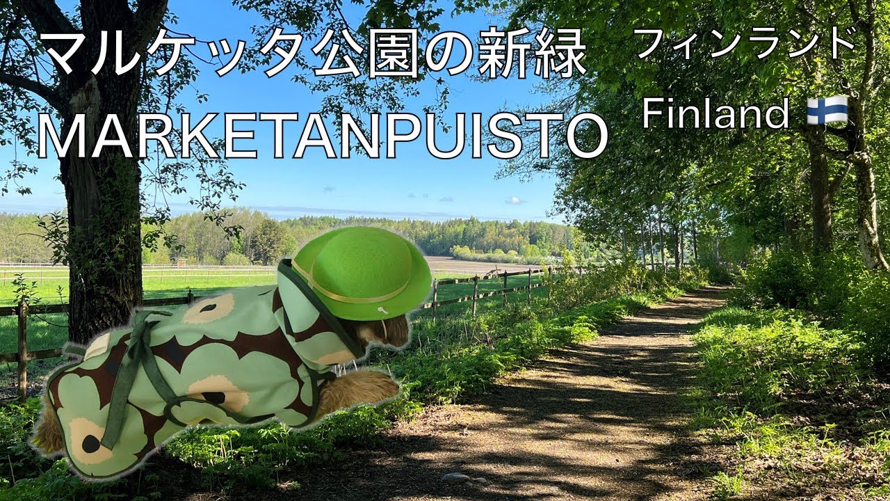 フィンランドのマルケッタ公園、新緑が目に眩しい光景　　　　　              Vihreä keidas Marketanpuisto Espoossa keväällä 30.5.2022