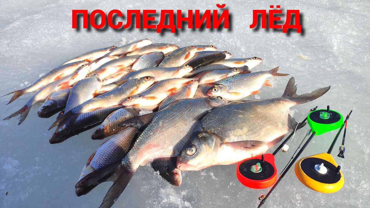ОТОРВАЛСЯ ПО ПОЛНОЙ. ПЛОТВА, ГУСТЕРА, ПОДЛЕЩИК. Рыбалка по ПОСЛЕДНЕМУ ЛЬДУ.