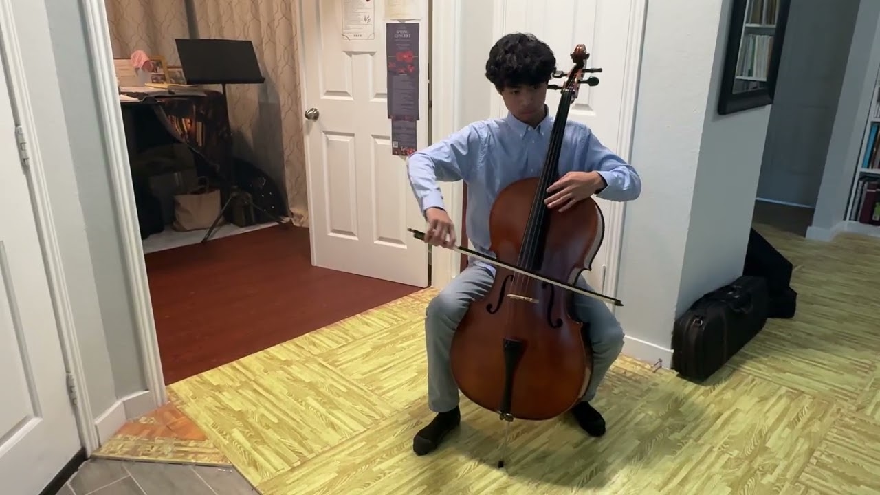 Allegro appassionato, Op  43