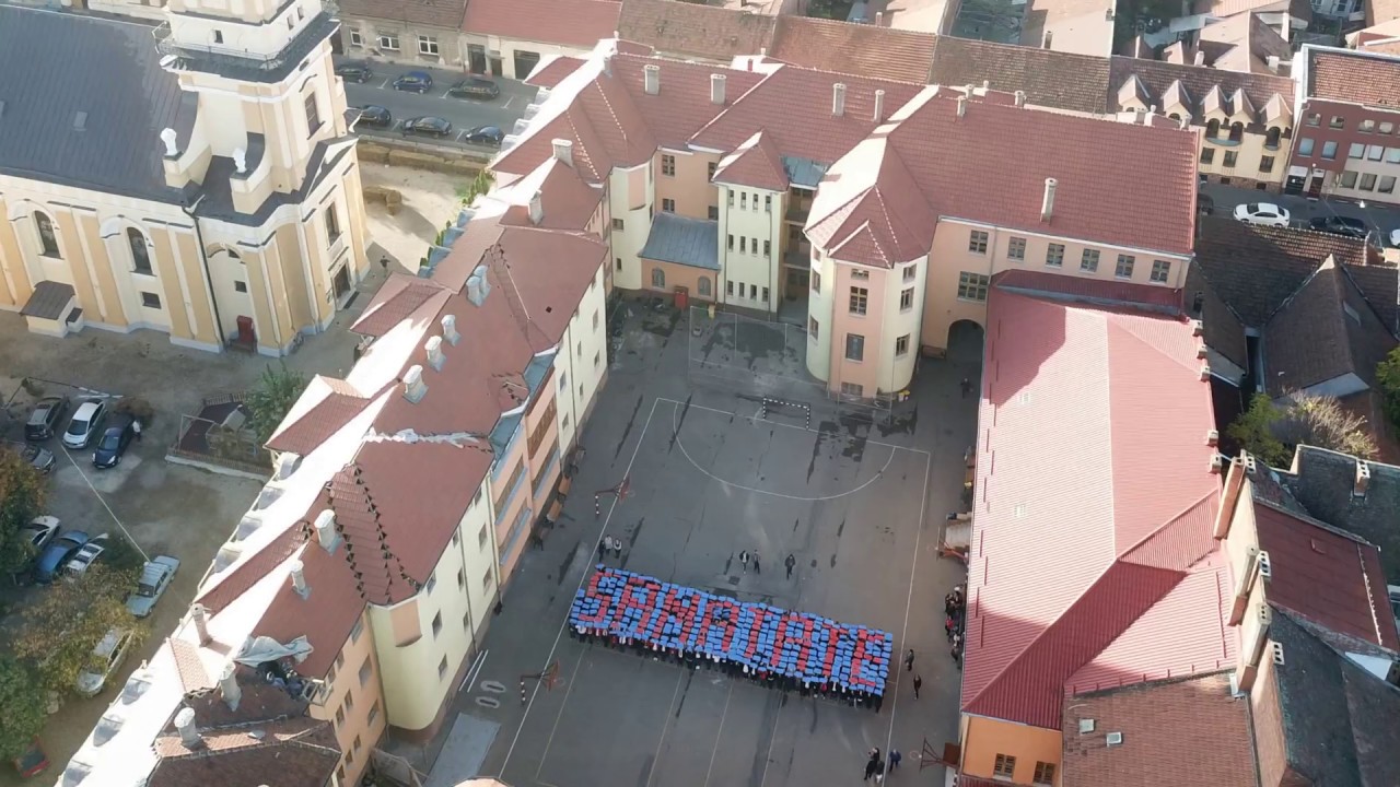 Flashmob Liceul Greco-Catolic Iuliu Maniu