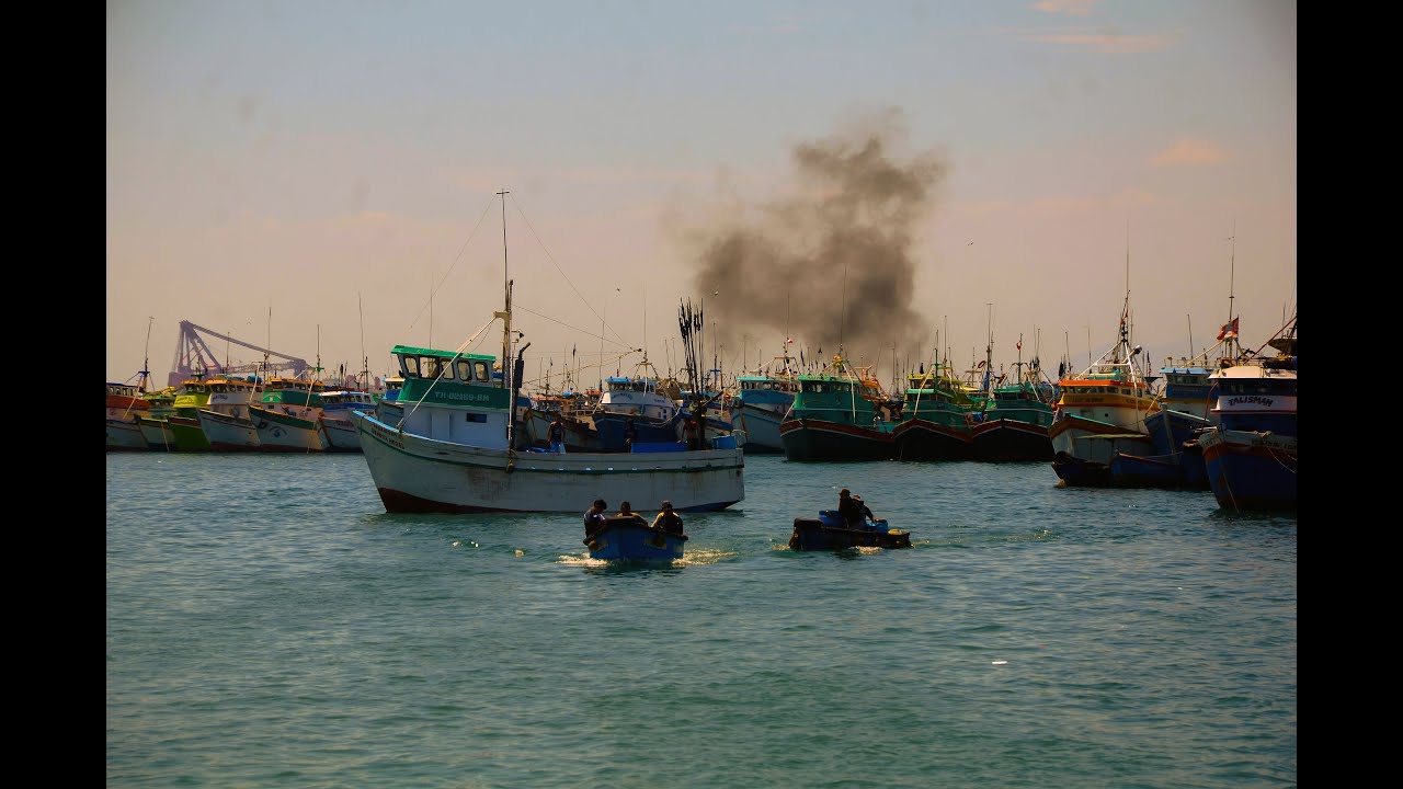 ¿Qué debemos saber sobre la pesca peruana?