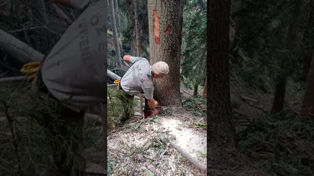 AKBO işini basariyla tamamliyor@artvin Ardanuç Bağlıca köyü yaylasi