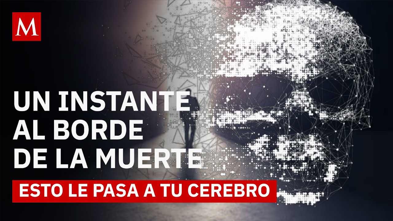 La vida despu&eacute;s de tocar la muerte: lo que un estudio revela sobre la transformaci&oacute;n humana