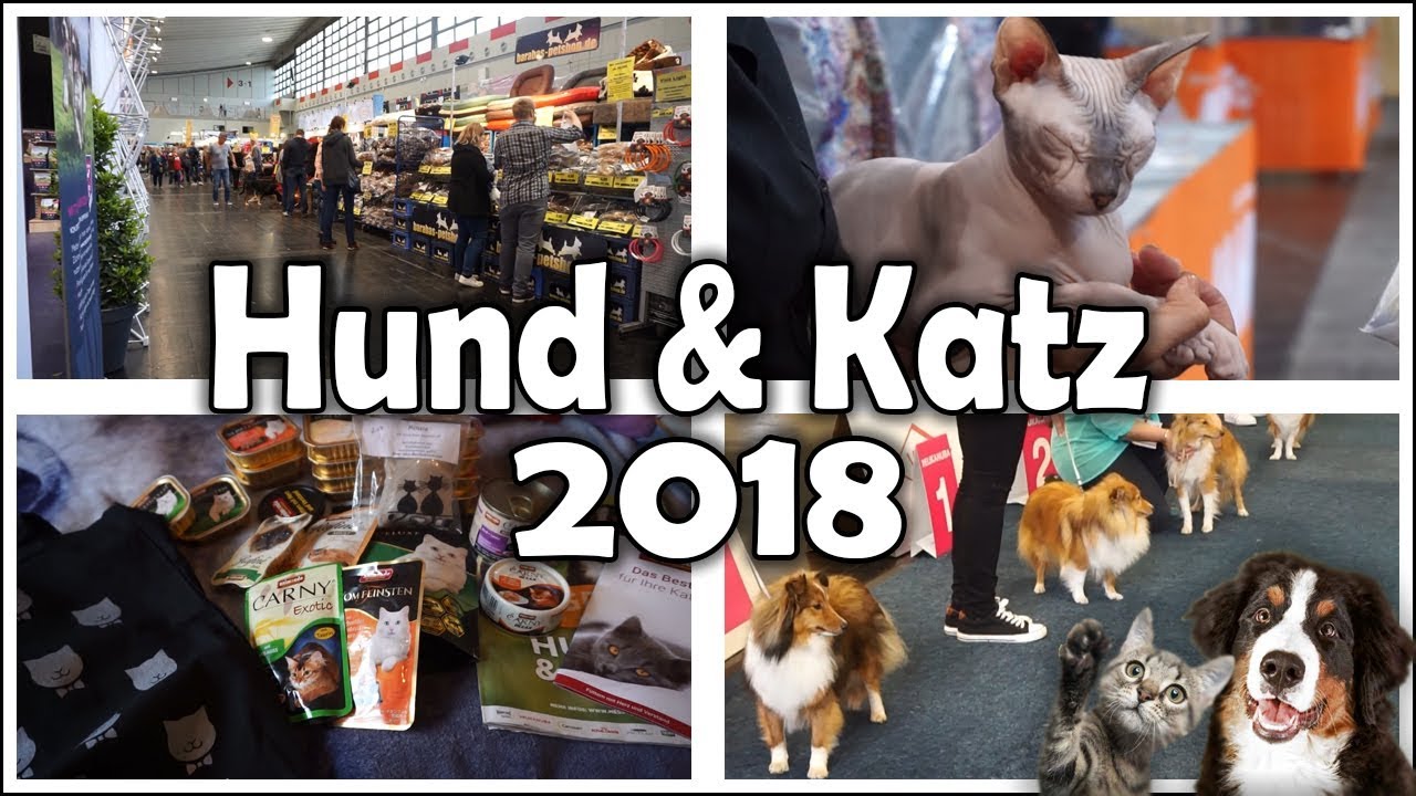 Besuch bei der Hund und Katz Messe Dortmund + Haul | Vlog