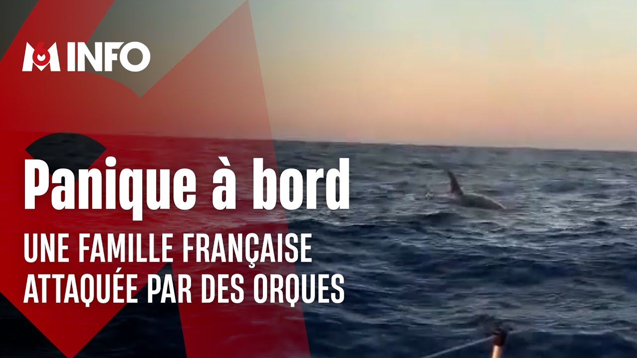 Une famille fran&ccedil;aise attaqu&eacute;e par des orques