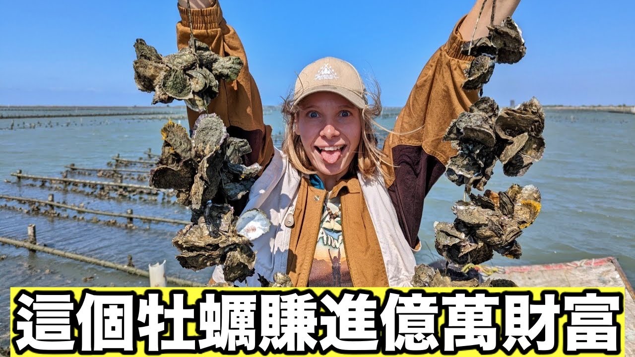 牡蠣竟然每年為這裡賺進10億😱 真正的大海珍寶！350元就能吃到飽！台南祕境無人島探險！台南龍山社區