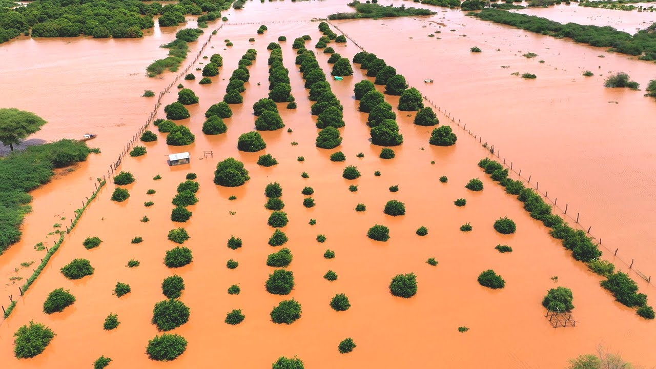 Garissa: Look What Happens When Seven Forks dams spill over to downstream