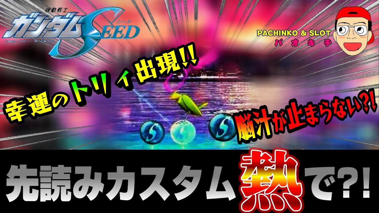 【機動戦士ガンダムSEED】先読みカスタム「熱」で激アツのトリィが現れたら脳汁が止まりませんでした