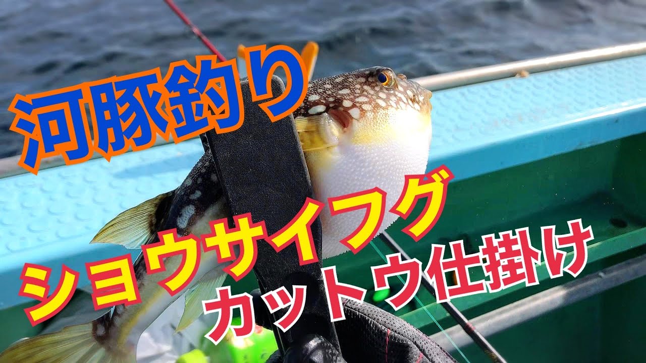【フグ釣り】湾フグ！カットウ仕掛けでショウサイフグを釣る！一郎丸(2022.10.30)
