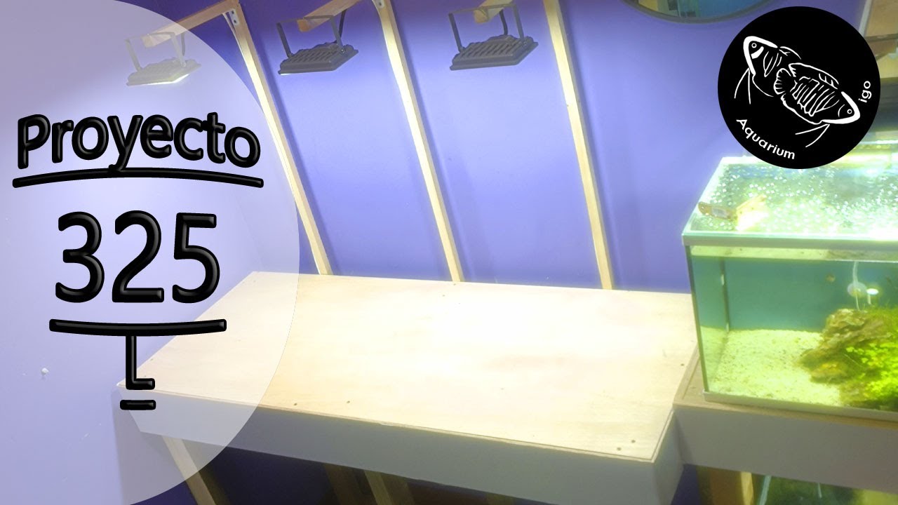 🪑MUEBLE🪑 de ACUARIO FACIL y reforzado. CASERO de MADERA, Barato y super Resistente. Para peces disco