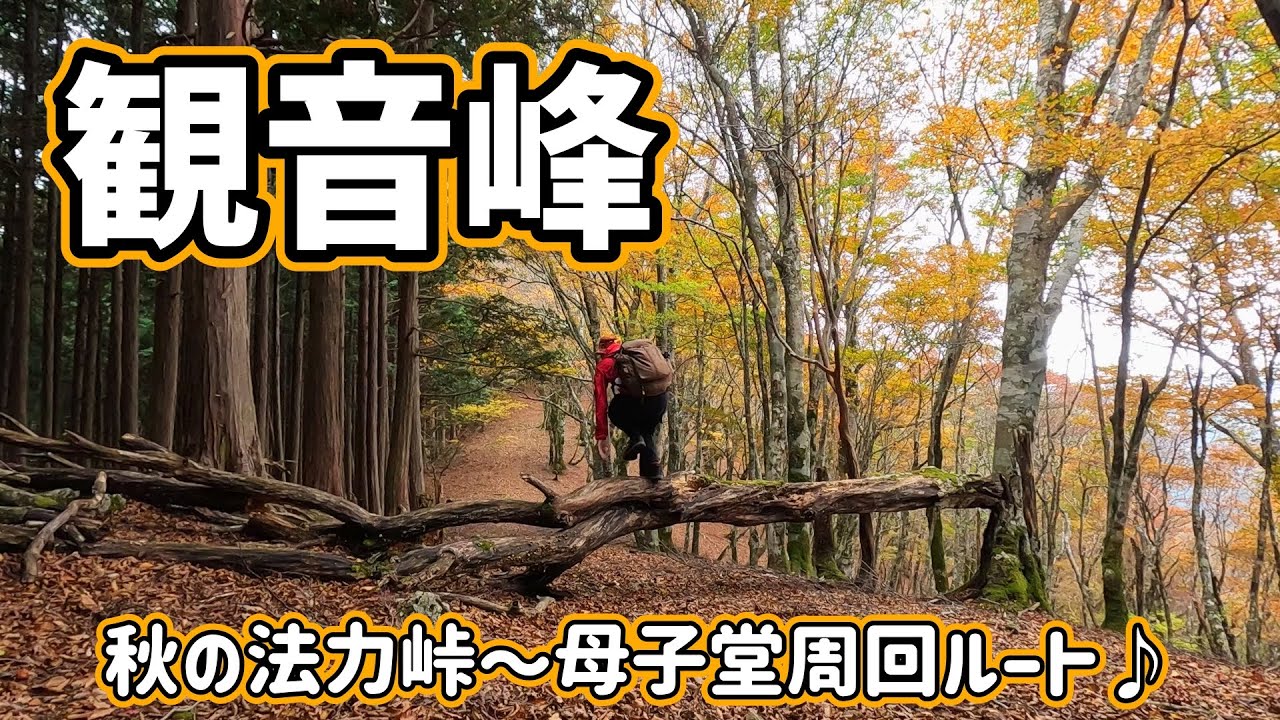 【奈良県/天川村】秋の彩り♪絶景＆霧の縦走ルートを満喫♪観音峰♪