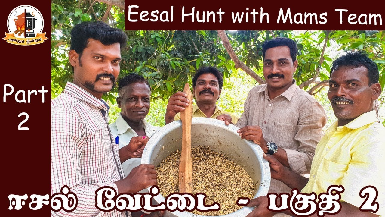 ஈசல் வேட்டை- பகுதி 2  | winged termites cooking | Part-2 | Mams Krishnan