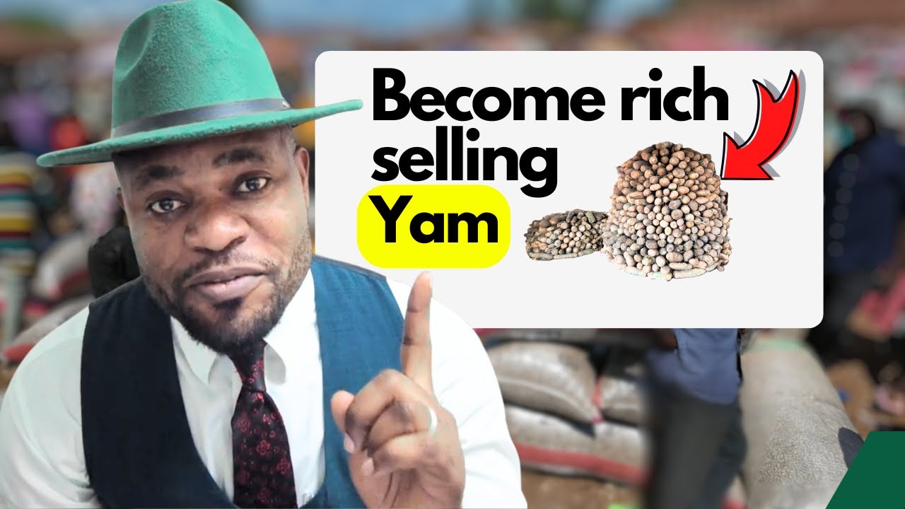 Yam Business. Everything you need to know in 9 minutes