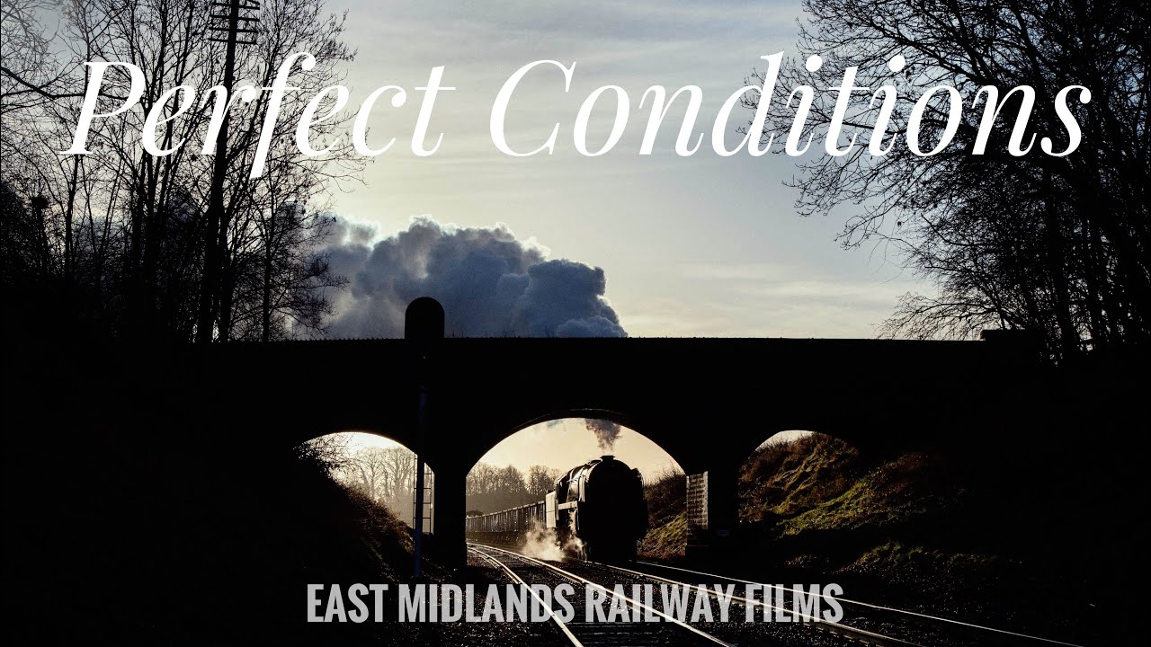 Perfect Conditions - My Collection, 2019-2026.