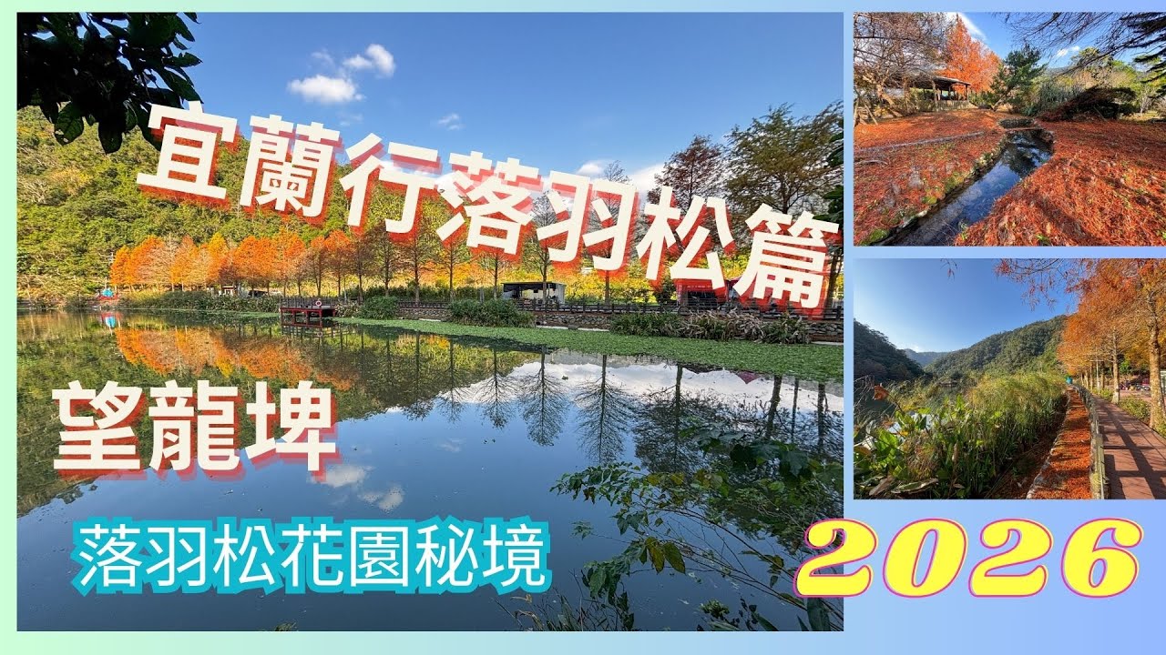 20260114萬ㄟeye台灣～宜蘭行落羽松篇之望龍埤/請打開CC字幕   4K