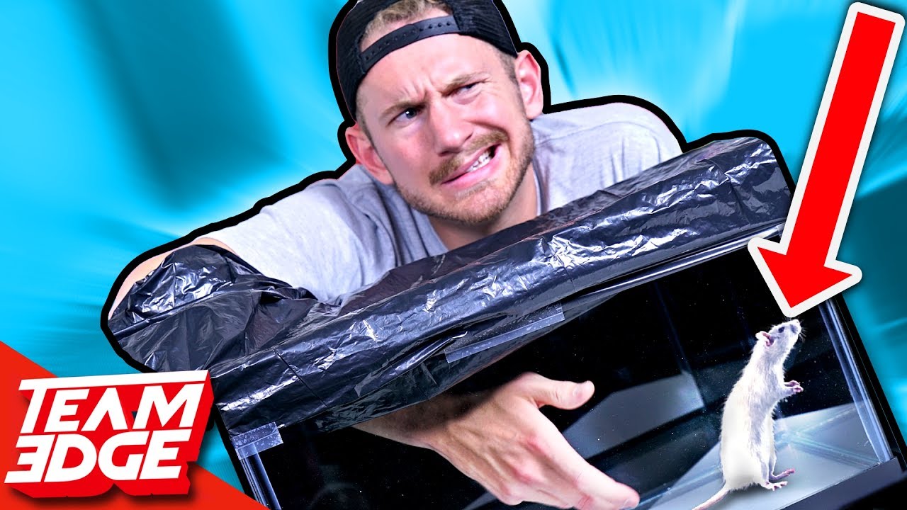 What's In The Box Challenge!!